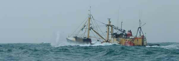 Brixham trawler